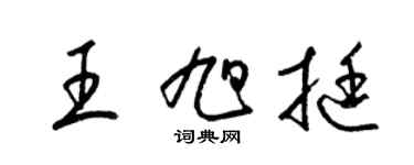 梁锦英王旭挺草书个性签名怎么写
