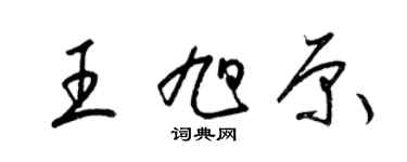 梁锦英王旭原草书个性签名怎么写