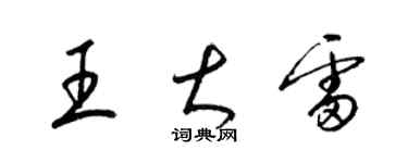 梁锦英王大雷草书个性签名怎么写
