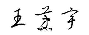 梁锦英王芳宇草书个性签名怎么写