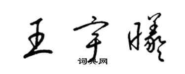 梁锦英王宇曦草书个性签名怎么写