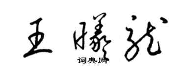 梁锦英王曦龙草书个性签名怎么写