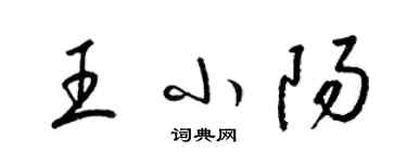 梁锦英王小阳草书个性签名怎么写