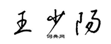 梁锦英王少阳草书个性签名怎么写