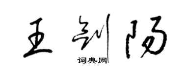 梁锦英王剑阳草书个性签名怎么写
