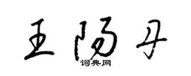 梁锦英王阳丹草书个性签名怎么写