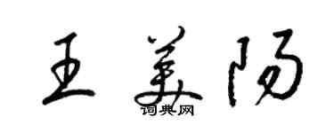 梁锦英王美阳草书个性签名怎么写
