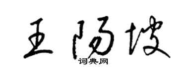 梁锦英王阳坡草书个性签名怎么写