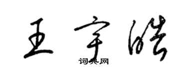 梁锦英王宇皓草书个性签名怎么写