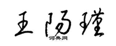 梁锦英王阳瑾草书个性签名怎么写