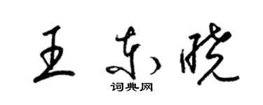 梁锦英王东晓草书个性签名怎么写