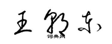 梁锦英王朝东草书个性签名怎么写