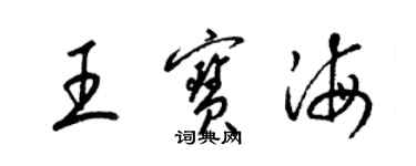 梁锦英王宝海草书个性签名怎么写
