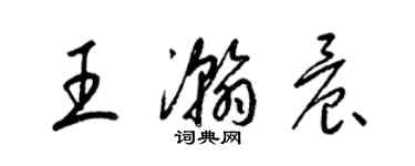 梁锦英王瀚晨草书个性签名怎么写