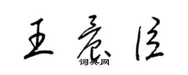 梁锦英王晨臣草书个性签名怎么写