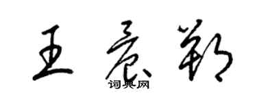 梁锦英王晨朔草书个性签名怎么写
