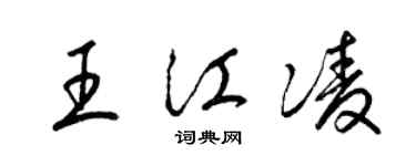 梁锦英王江凌草书个性签名怎么写