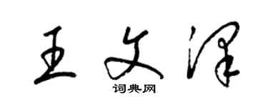 梁锦英王文泽草书个性签名怎么写