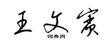 梁锦英王文宾草书个性签名怎么写