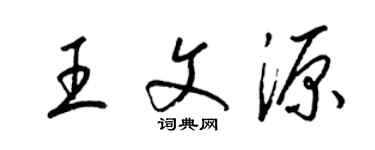 梁锦英王文源草书个性签名怎么写