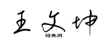 梁锦英王文坤草书个性签名怎么写