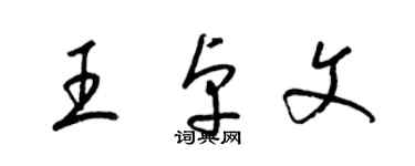 梁锦英王卓文草书个性签名怎么写