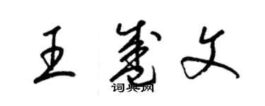 梁锦英王盛文草书个性签名怎么写
