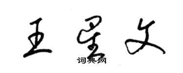 梁锦英王星文草书个性签名怎么写