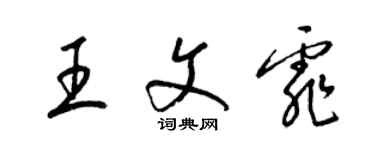 梁锦英王文霏草书个性签名怎么写
