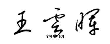 梁锦英王云晖草书个性签名怎么写