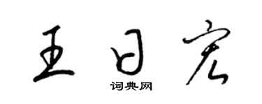 梁锦英王日宏草书个性签名怎么写