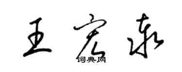 梁锦英王宏泰草书个性签名怎么写