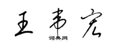 梁锦英王韦宏草书个性签名怎么写