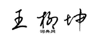 梁锦英王柳坤草书个性签名怎么写