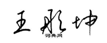 梁锦英王彤坤草书个性签名怎么写