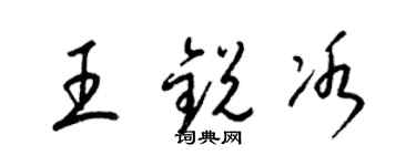 梁锦英王锐冰草书个性签名怎么写
