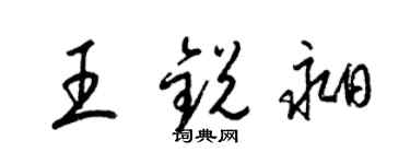梁锦英王锐昶草书个性签名怎么写