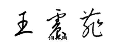 梁锦英王震菲草书个性签名怎么写