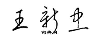 梁锦英王新忠草书个性签名怎么写