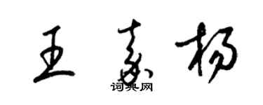 梁锦英王嘉杨草书个性签名怎么写