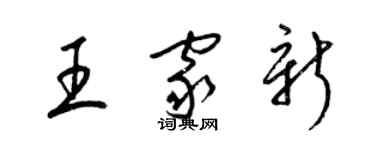 梁锦英王家新草书个性签名怎么写