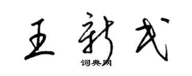 梁锦英王新民草书个性签名怎么写