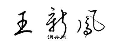 梁锦英王新凤草书个性签名怎么写