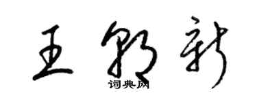 梁锦英王朝新草书个性签名怎么写