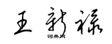 梁锦英王新禄草书个性签名怎么写