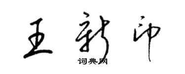 梁锦英王新印草书个性签名怎么写