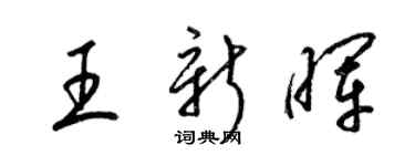 梁锦英王新晖草书个性签名怎么写