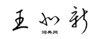 梁锦英王北新草书个性签名怎么写
