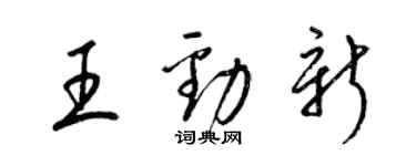 梁锦英王劲新草书个性签名怎么写