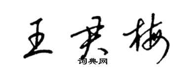 梁锦英王君梅草书个性签名怎么写